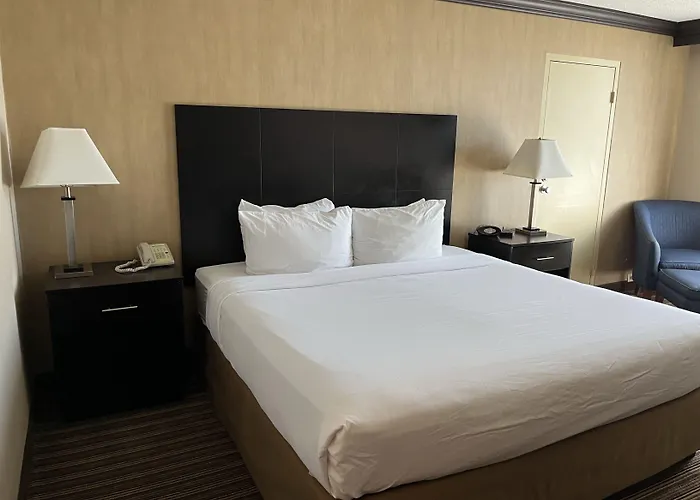 Wyndham Garden Chicago Northwest Hotel Schaumburg
